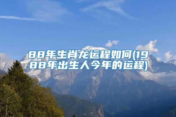 88年生肖龙运程如何(1988年出生人今年的运程)