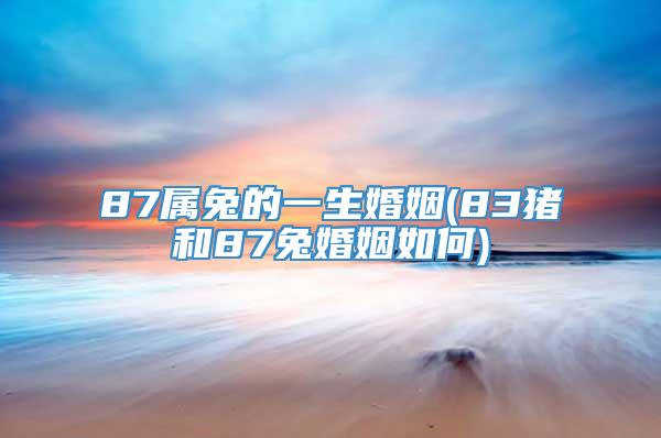 87属兔的一生婚姻(83猪和87兔婚姻如何)