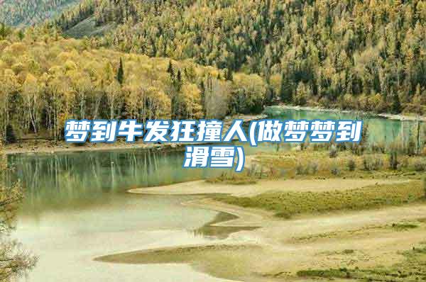 梦到牛发狂撞人(做梦梦到滑雪)