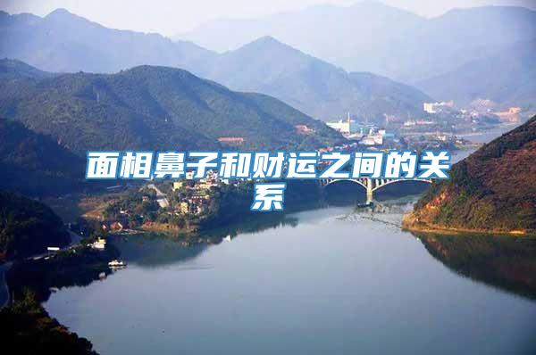 面相鼻子和财运之间的关系