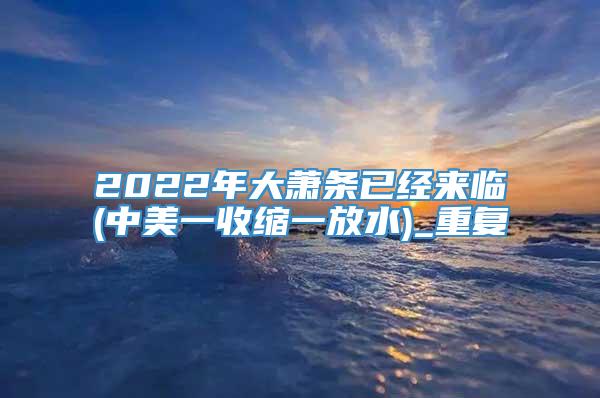 2022年大萧条已经来临(中美一收缩一放水)_重复