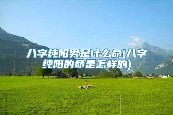 八字纯阳男是什么命(八字纯阳的命是怎样的)