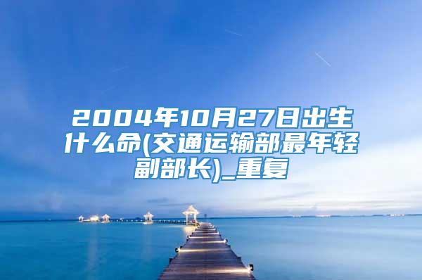 2004年10月27日出生什么命(交通运输部最年轻副部长)_重复