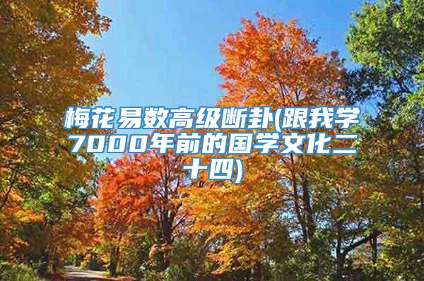 梅花易数高级断卦(跟我学7000年前的国学文化二十四)