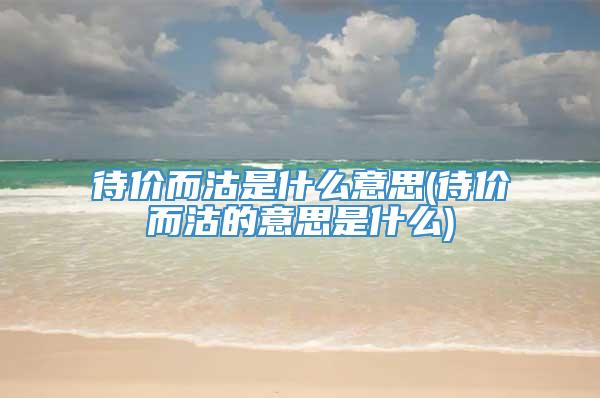 待价而沽是什么意思(待价而沽的意思是什么)