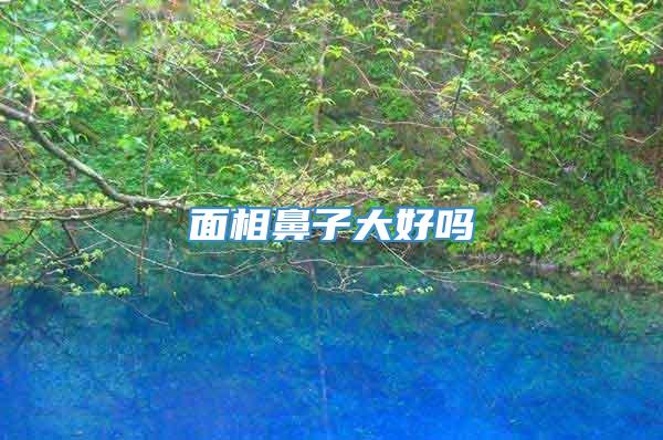 面相鼻子大好吗