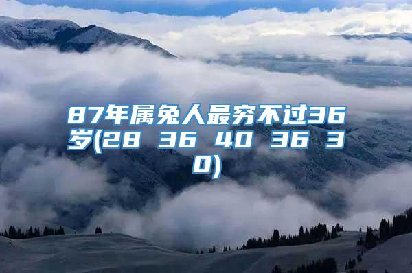 87年属兔人最穷不过36岁(28 36 40 36 30)