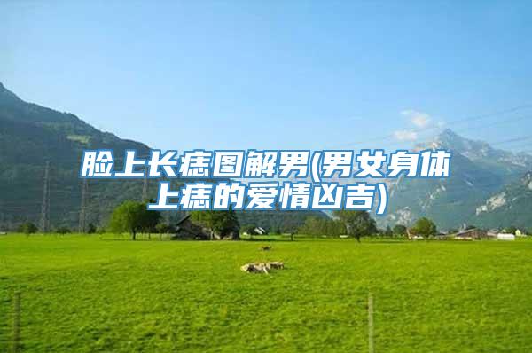 脸上长痣图解男(男女身体上痣的爱情凶吉)