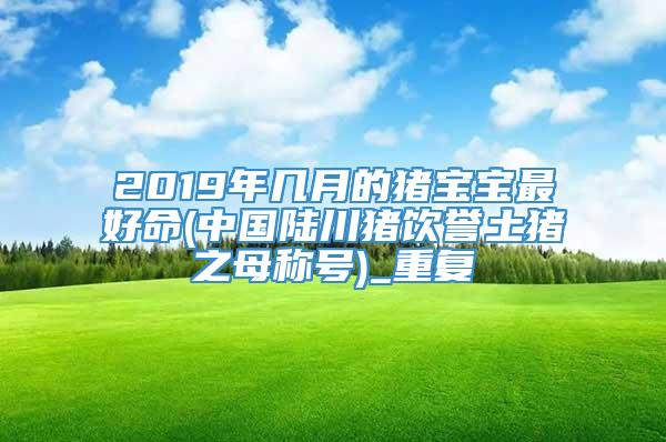 2019年几月的猪宝宝最好命(中国陆川猪饮誉土猪之母称号)_重复