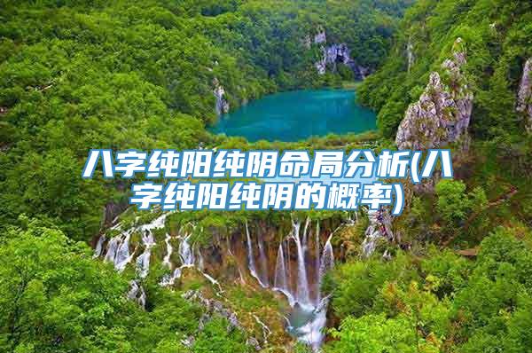 八字纯阳纯阴命局分析(八字纯阳纯阴的概率)