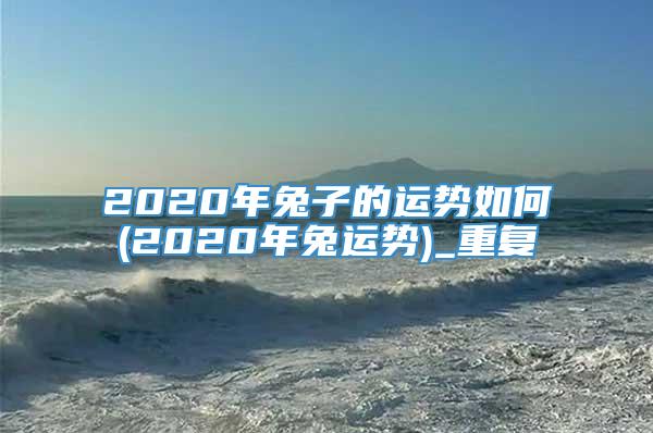 2020年兔子的运势如何(2020年兔运势)_重复