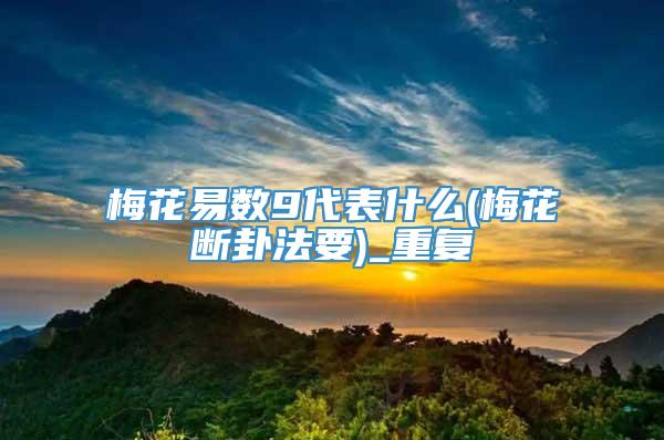 梅花易数9代表什么(梅花断卦法要)_重复