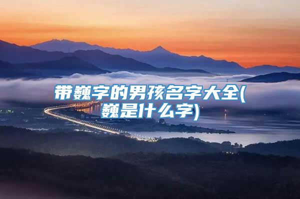 带巍字的男孩名字大全(巍是什么字)