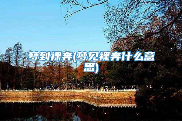梦到裸奔(梦见裸奔什么意思)