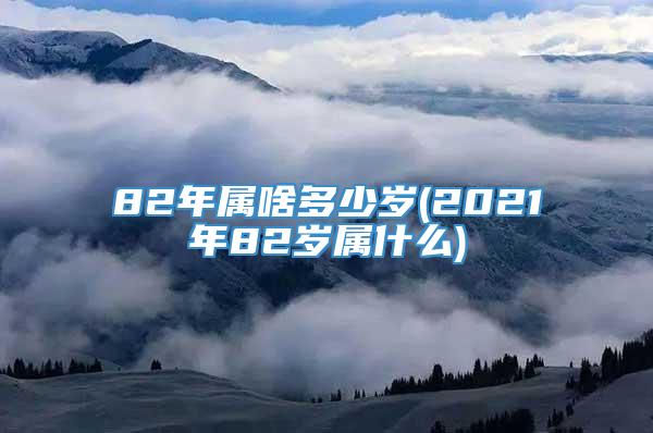 82年属啥多少岁(2021年82岁属什么)