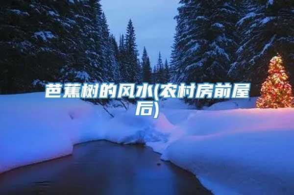 芭蕉树的风水(农村房前屋后)