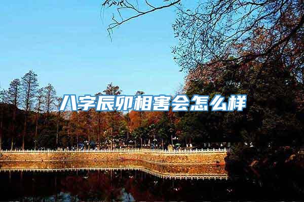 八字辰卯相害会怎么样
