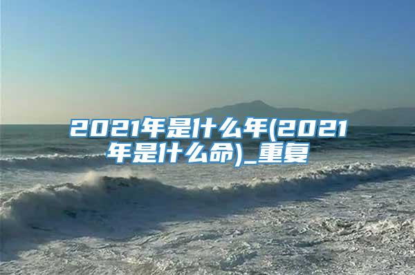 2021年是什么年(2021年是什么命)_重复