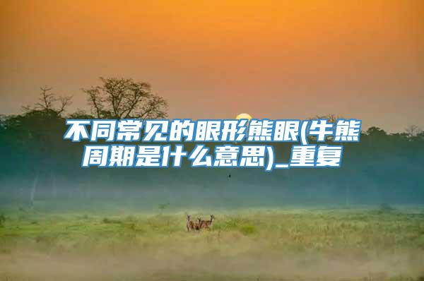 不同常见的眼形熊眼(牛熊周期是什么意思)_重复