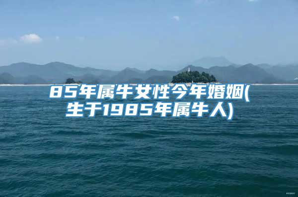 85年属牛女性今年婚姻(生于1985年属牛人)