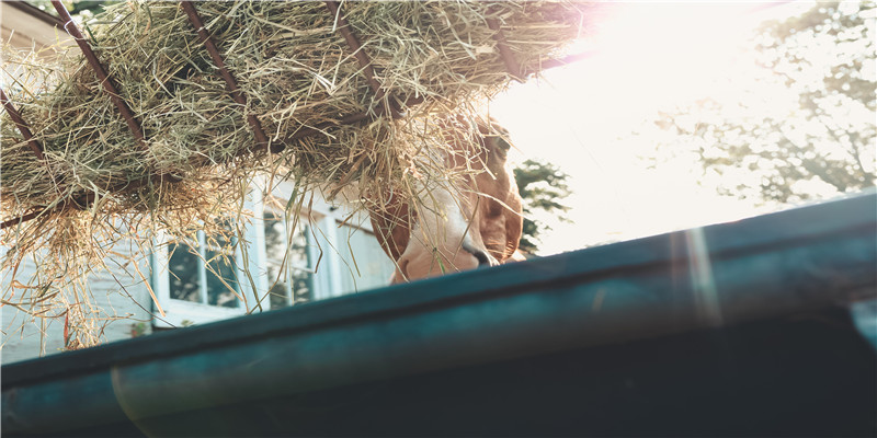 断掌的女人克夫,婚姻坎坷不断