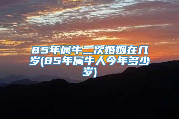 85年属牛二次婚姻在几岁(85年属牛人今年多少岁)