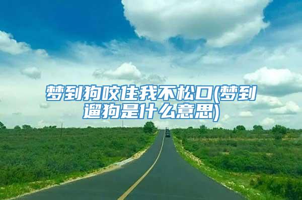 梦到狗咬住我不松口(梦到遛狗是什么意思)