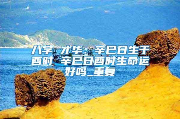 八字 才华：辛巳日生于酉时 辛巳日酉时生命运好吗_重复