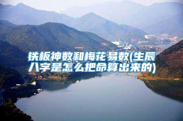 铁板神数和梅花易数(生辰八字是怎么把命算出来的)