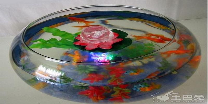 养鱼风水知识大全:家庭养鱼几条比较好?