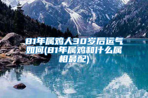 81年属鸡人30岁后运气如何(81年属鸡和什么属相最配)