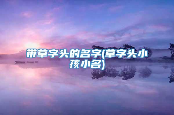 带草字头的名字(草字头小孩小名)