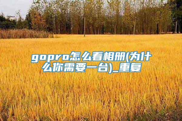 gopro怎么看相册(为什么你需要一台)_重复
