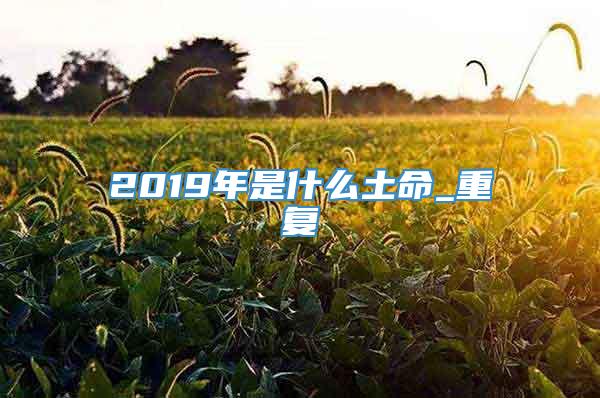 2019年是什么土命_重复