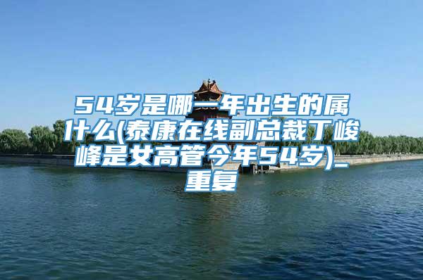 54岁是哪一年出生的属什么(泰康在线副总裁丁峻峰是女高管今年54岁)_重复