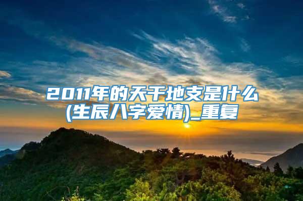 2011年的天干地支是什么(生辰八字爱情)_重复