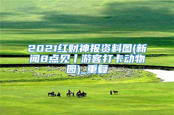 2021红财神报资料图(新闻8点见丨游客打卡动物园)_重复