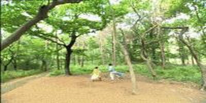 成全了蔡少芬和张晋，曾经和唐人齐名，周易影视怎么就倒闭了？
