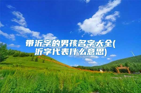 带沂字的男孩名字大全(沂字代表什么意思)
