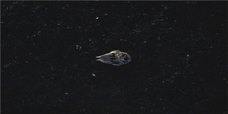 这玩意儿我永远养不活