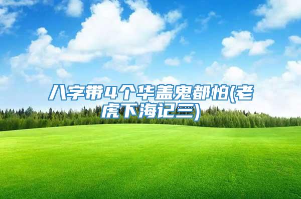 八字带4个华盖鬼都怕(老虎下海记三)