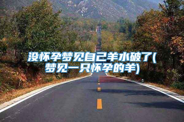 没怀孕梦见自己羊水破了(梦见一只怀孕的羊)