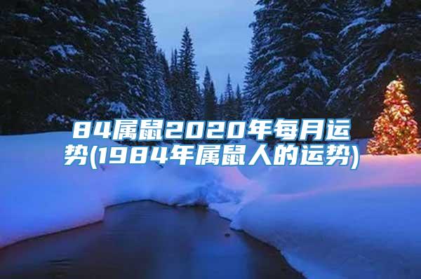 84属鼠2020年每月运势(1984年属鼠人的运势)