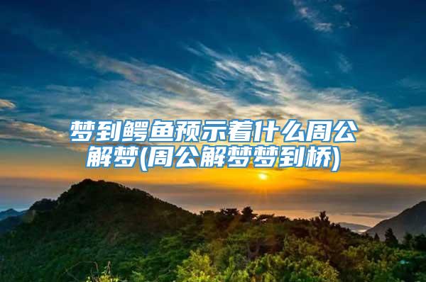梦到鳄鱼预示着什么周公解梦(周公解梦梦到桥)