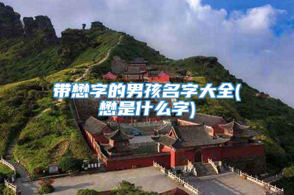 带懋字的男孩名字大全(懋是什么字)