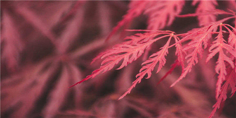 年俗年味丨这个牛年春节,过年习俗都有啥不同?
