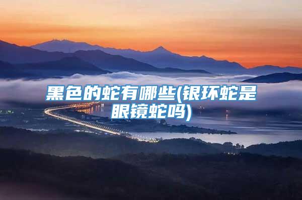 黑色的蛇有哪些(银环蛇是眼镜蛇吗)