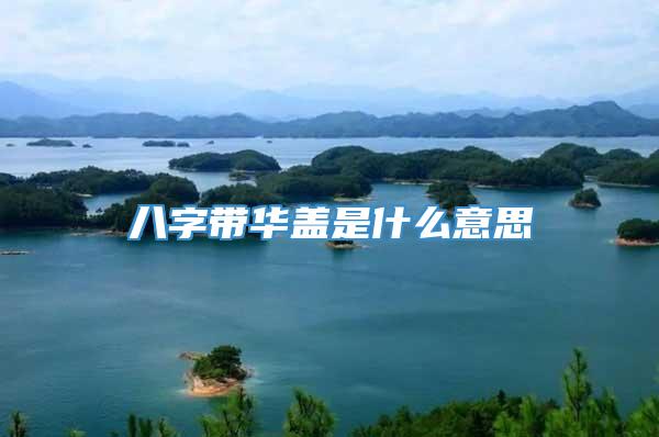 八字带华盖是什么意思