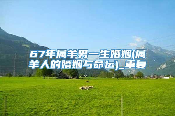 67年属羊男一生婚姻(属羊人的婚姻与命运)_重复