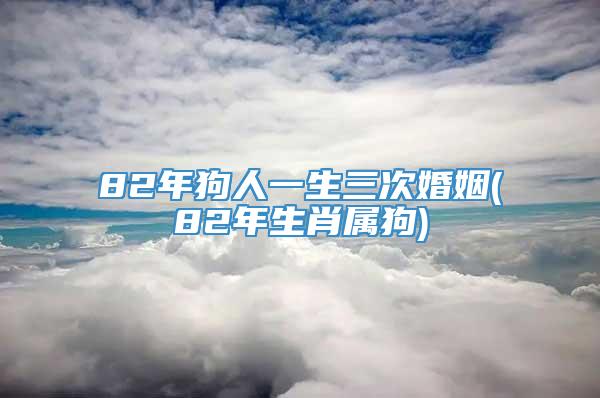 82年狗人一生三次婚姻(82年生肖属狗)